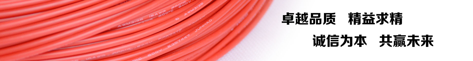 菲律宾亚星电线