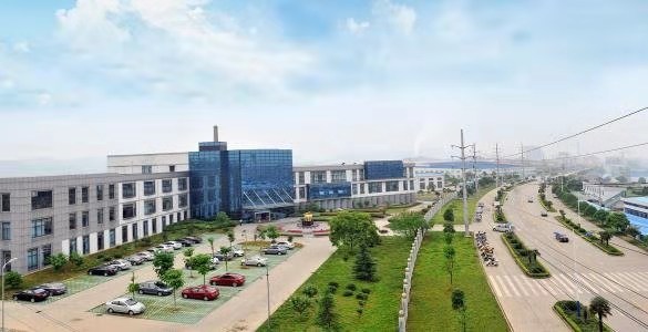 同乐城官网TLC|瓦伦西亚官方相助同伴