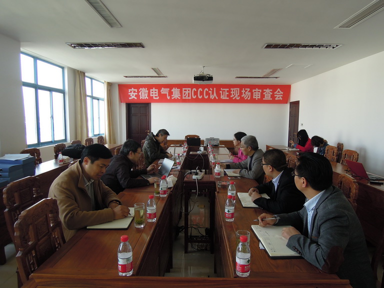 同乐城官网TLC|瓦伦西亚官方相助同伴