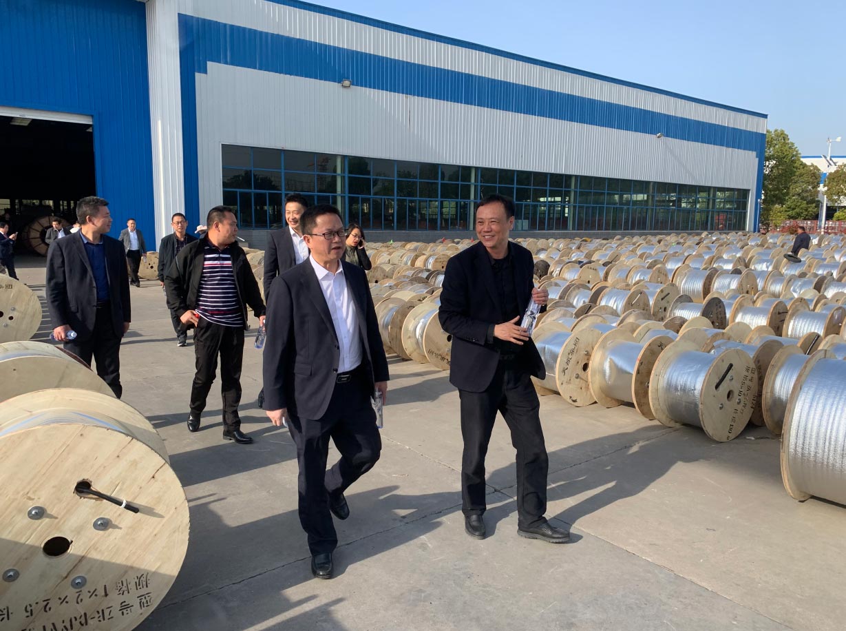 同乐城官网TLC|瓦伦西亚官方相助同伴