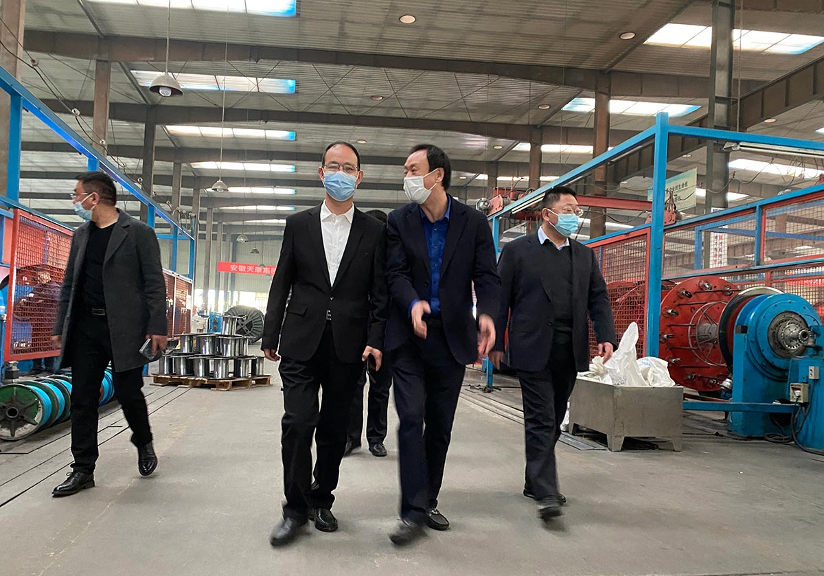 同乐城官网TLC|瓦伦西亚官方相助同伴