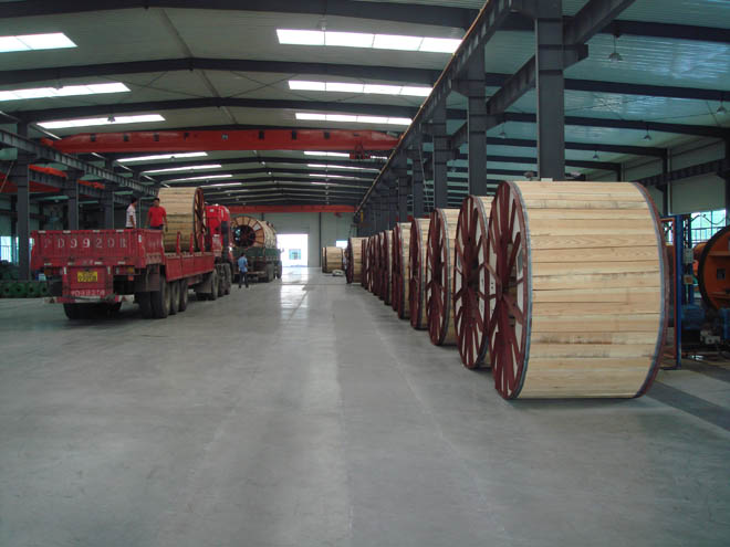 同乐城官网TLC|瓦伦西亚官方相助同伴