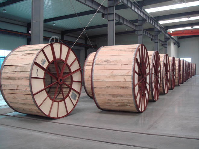 同乐城官网TLC|瓦伦西亚官方相助同伴